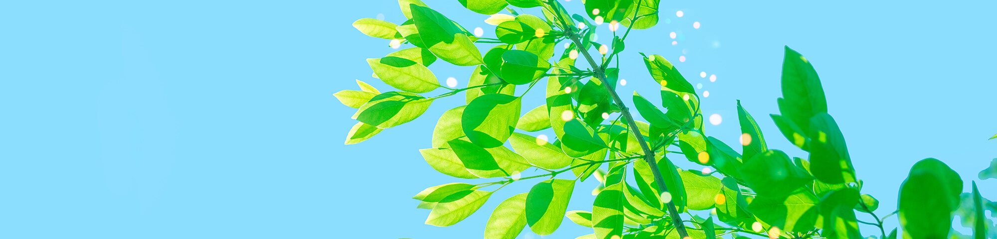 最近チェックした商品